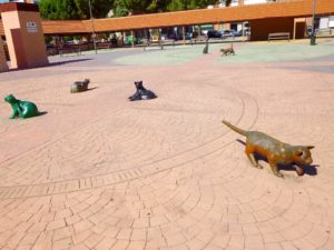 Plaza de los Gatos