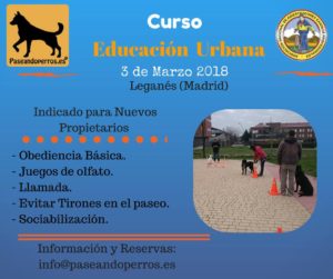 Educación urbana para perros
