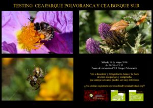Testing Polvoranca y Bosque Sur
