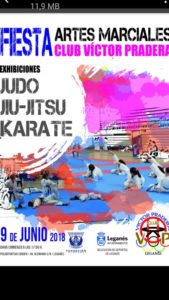 Fiesta de las Artes Marciales