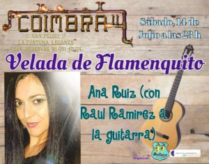 Velada de Flamenco en el Coimbra II