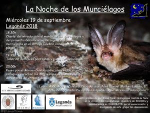 La noche de los murciélagos