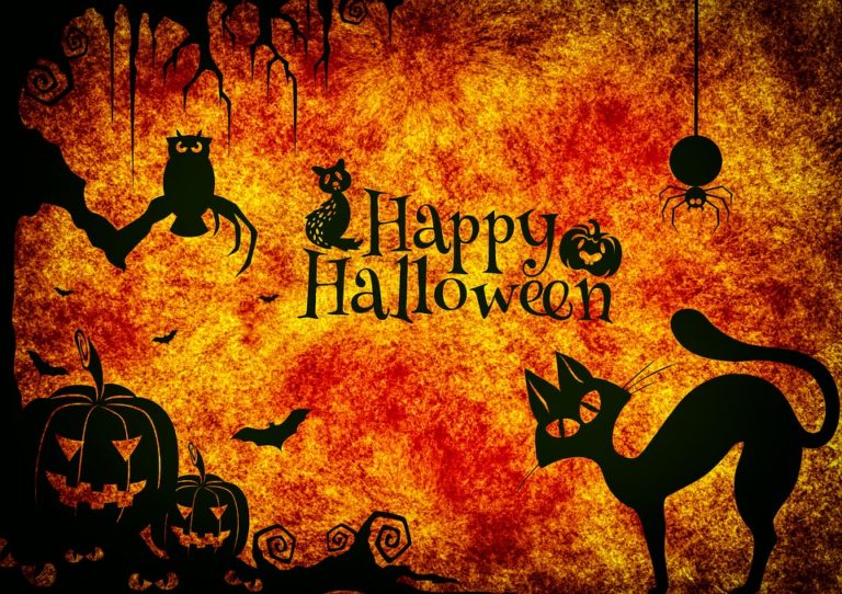 cuatro formas de celebrar halloween