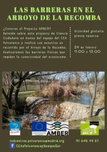 Actividades en el CEA Polvoranca en FEBRERO