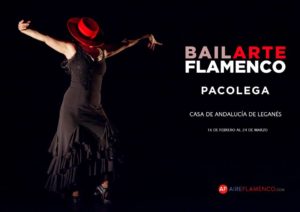 Exposición fotográfica, Bailarte Flamenco