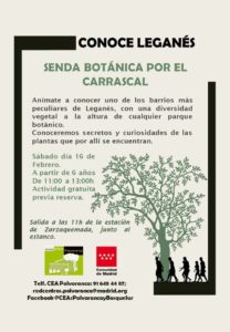 Senda botánica por el Carrascal