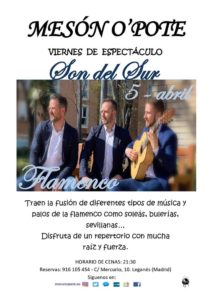 EL GRUPO SON DEL SUR