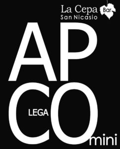 "APCOmini - homenaje a Niki Lauda"