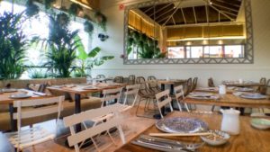 Sushita Café