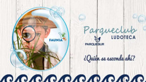 Taller infantil Faunia