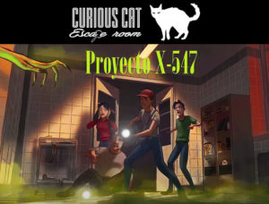 curious cat proyecto