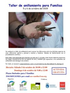 Día Mundial de las Aves