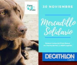 Mercadillo solidario en Decathlon Leganés