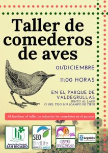 Taller de comederos de aves