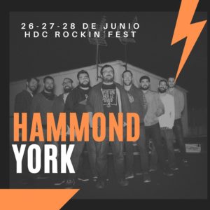 Hammond York