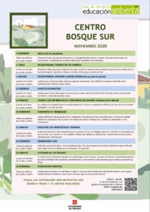 Programación en noviembre 2020 en el CEA Bosque Sur