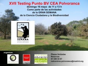 XVII-testing-punto-Bv-CEA-polvoranca - OCIOENLEGANES