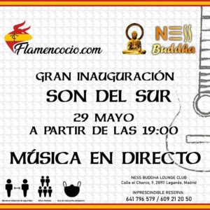 gran-inauguracion-son-del-sur - OCIOENLEGANES