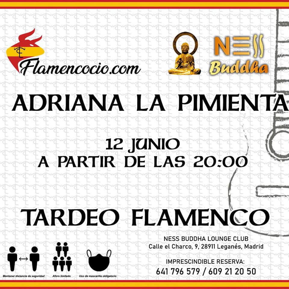 Concierto flamenco en Ness Buddha con Adriana La Pimienta