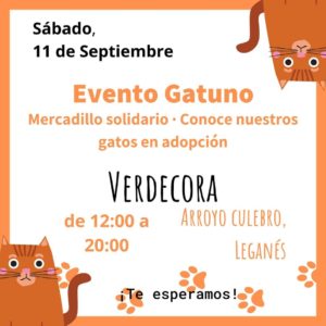 Evento gatuno en Verdecora