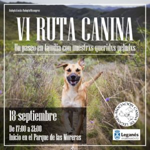 VI Ruta Canina de Leganés
