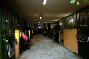Pista-Cubierta caballo hipica jinete amazona leganes club escuela aprender montar arroyoculebro niños animales deporte