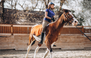 caballos jinete hipica montar escuela animales niños aprender hipica leganes doma salto pupilaje.png