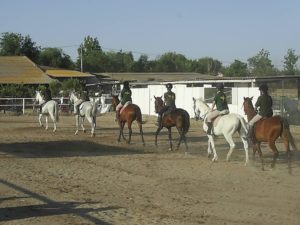 hípica caballos club escuela jinete equitación amazona leganes arroyoculebro