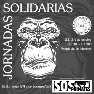 mascotas animales jornada solidaria asociacion canina leganes sos primates adopcion