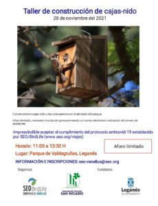 taller construccion de caja nido pajaros