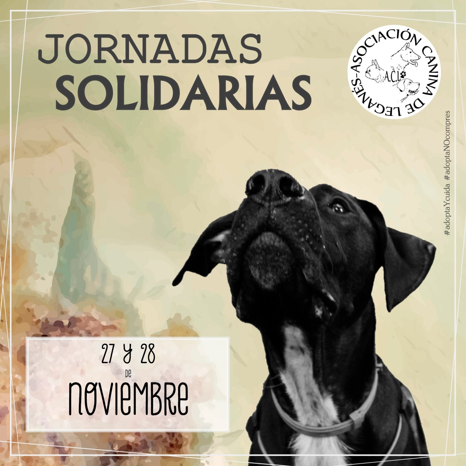 jornada solidaria adopta perrera asociacion canina de leganes