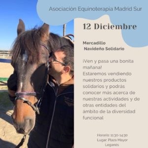 Mercadillo Navideño Solidario de la Asociación de Equinoterapia de Madrid Sur