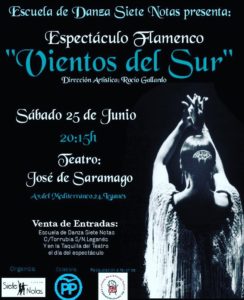 ESPECTÁCULO FLAMENCO: VIENTOS DEL SUR
