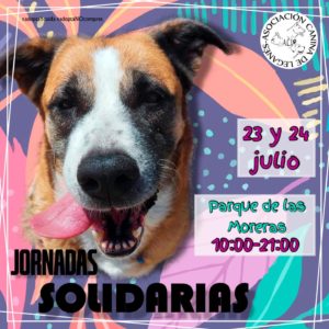 Jornadas solidarias Asociación Canina De Leganés