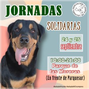 JORNADAS SOLIDARIAS SEPTIEMBRE