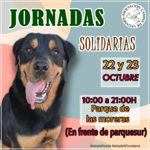 JORNADAS SOLIDARIAS OCTUBRE