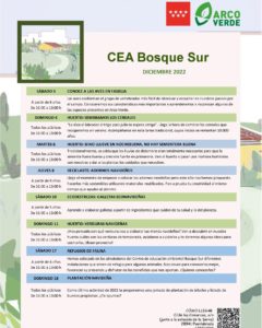 Programación de noviembre 2022 en el CEA Bosque Sur
