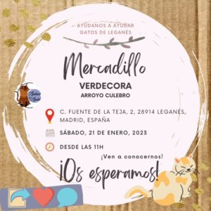EVENTO Ayúdanos a Ayudar Gatos