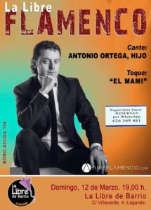 Flamenco en la Libre de Barrio