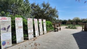 Exposición temporal: Vecinos Nocturnos-CEA Bosque Sur