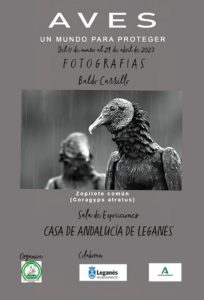 Exposición del fotógrafo de aves de Leganés: Baldo Carrillo