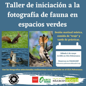 Taller de iniciación a la fotografía de fauna en espacios verdes