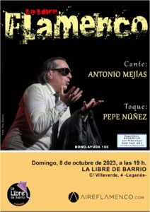 Ronda flamenca en la Libre de Barrio