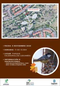 Taller de Construcción de Comederos de Pájaros