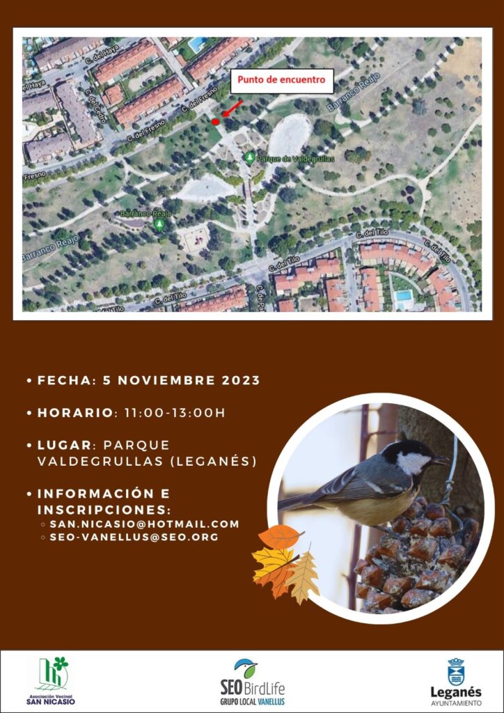Taller de Construcción de Comederos de Pájaros