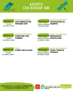 Programación de actividades para la CEA BOSQUESUR